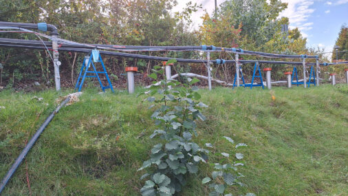 An End to the Never-Ending Project: In-Situ Thermal Remediation of an LHKW Site
