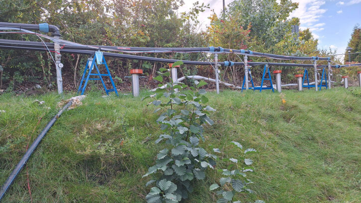 Schluss mit der Ewigkeitsmaßnahme: Thermische In-situ-Sanierung eines LHKW-Standorts